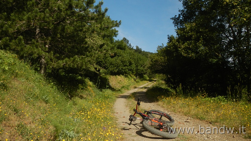 DSCN7268.JPG - Monte Colla New Trail