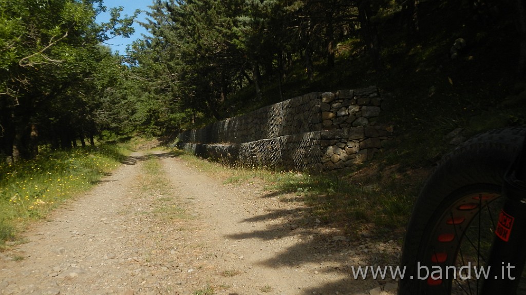 DSCN7269.JPG - Monte Colla New Trail