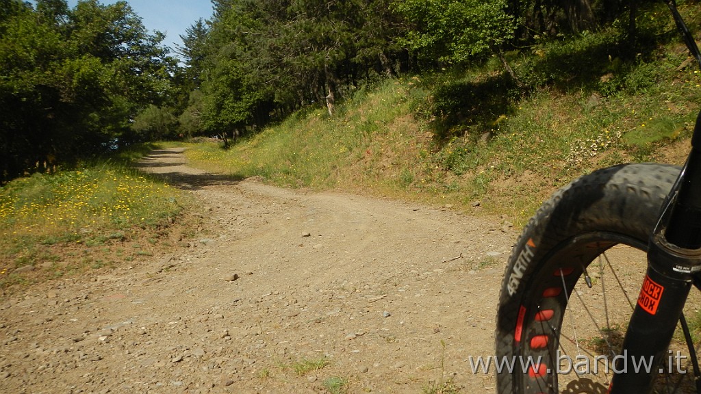 DSCN7270.JPG - Monte Colla New Trail