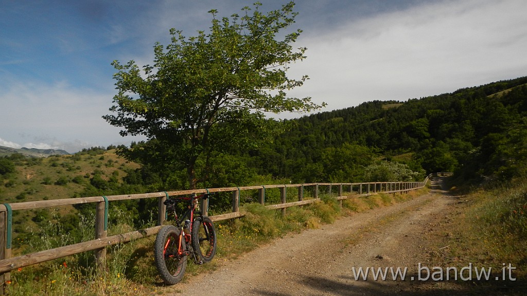 DSCN7278.JPG - Monte Colla New Trail