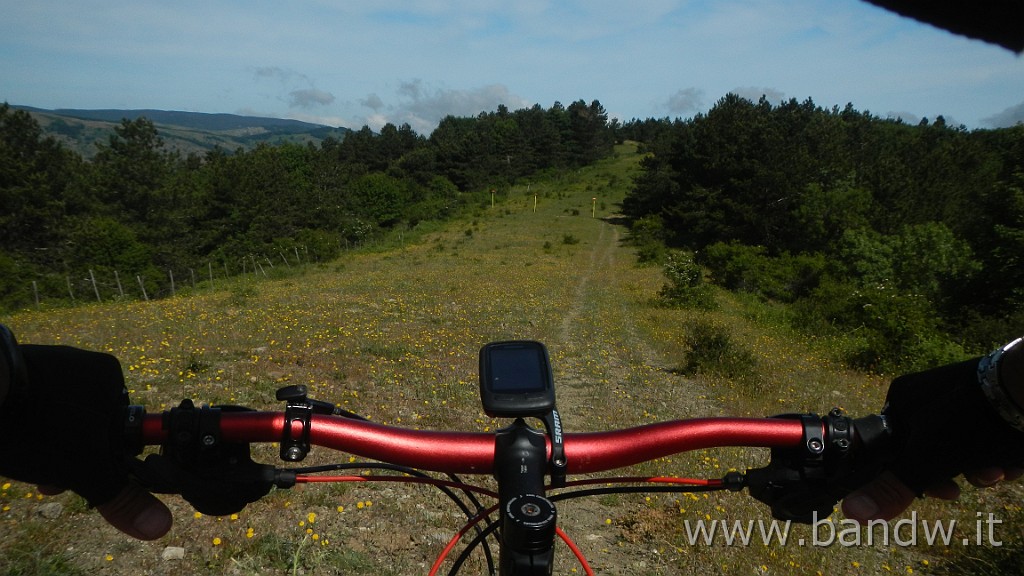 DSCN7284.JPG - Monte Colla New Trail