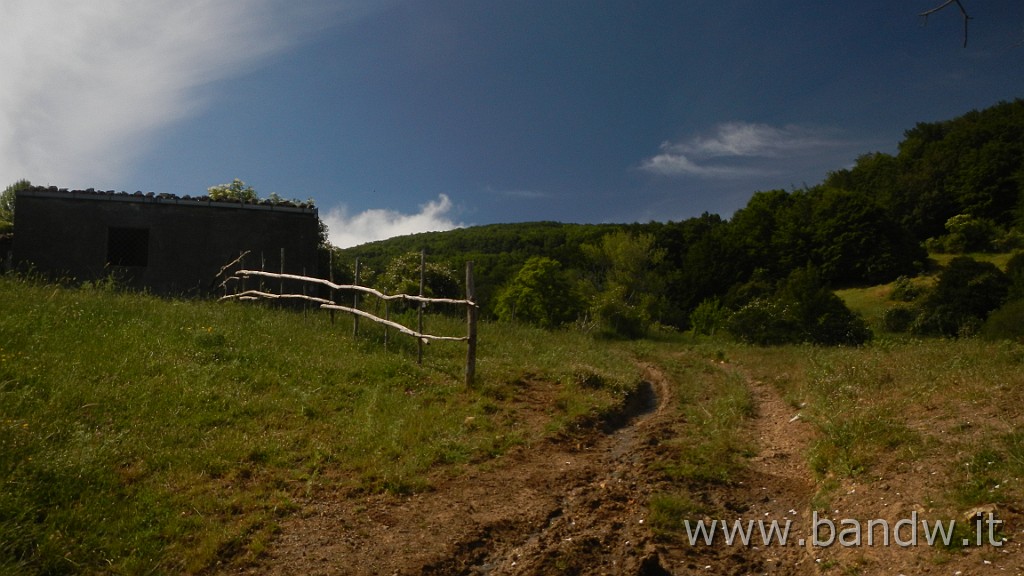 DSCN7285.JPG - Monte Colla New Trail