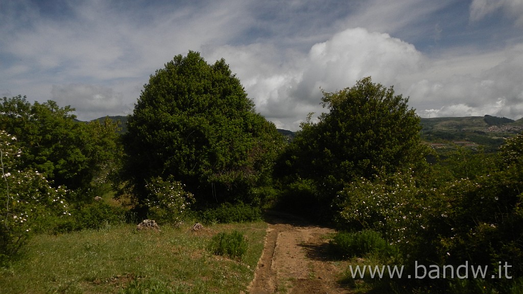 DSCN7286.JPG - Monte Colla New Trail