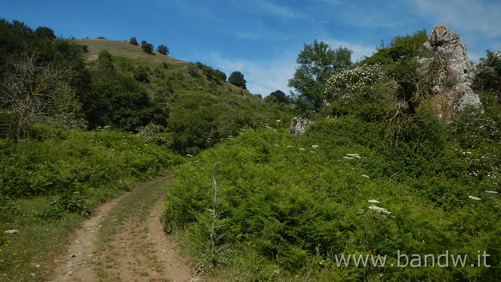 DSCN7288.JPG - Monte Colla New Trail