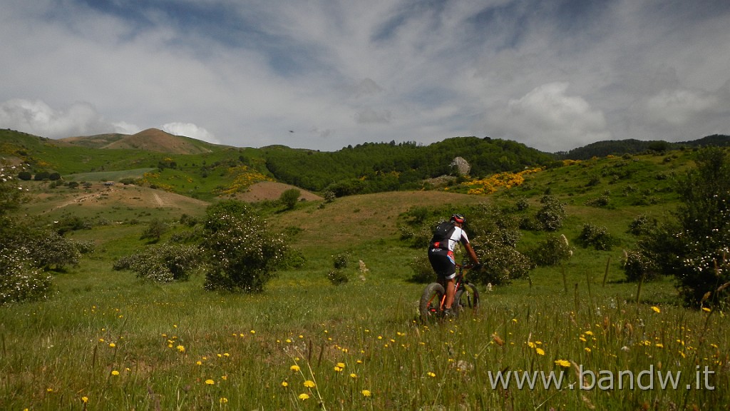 DSCN7289.JPG - Monte Colla New Trail