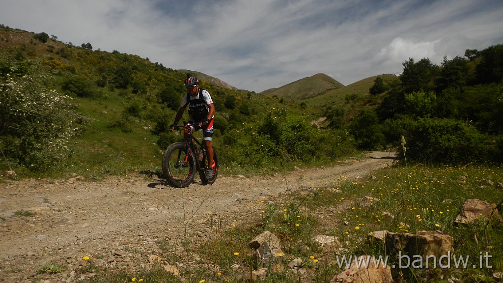 DSCN7290.JPG - Monte Colla New Trail