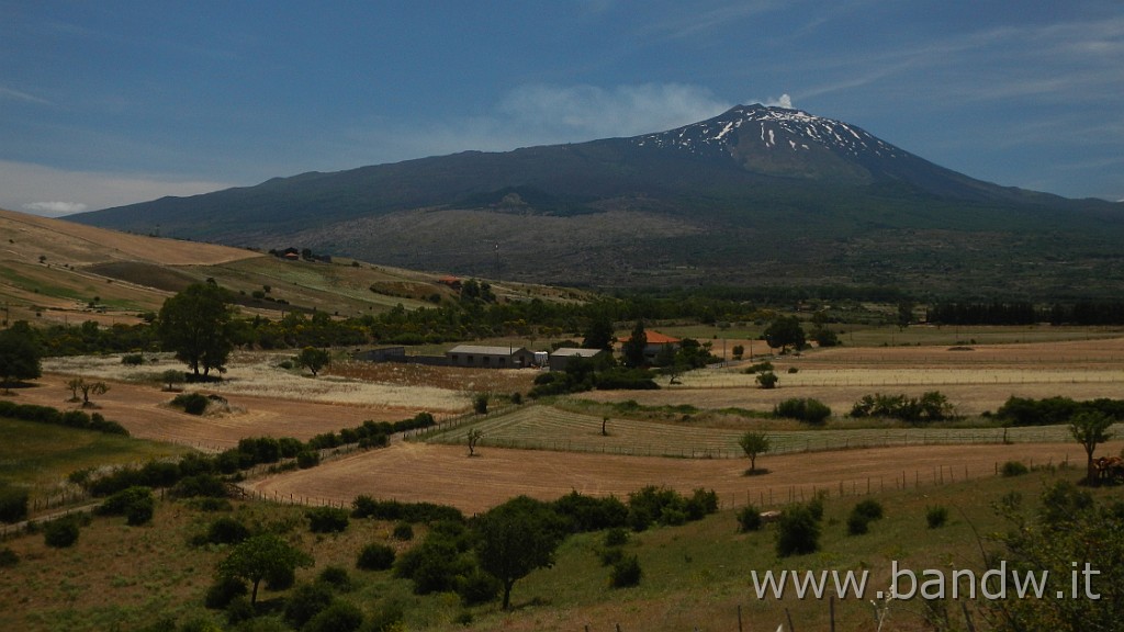 DSCN7298.JPG - Monte Colla New Trail