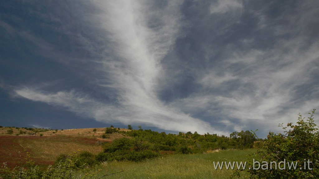 DSCN7301.JPG - Monte Colla New Trail