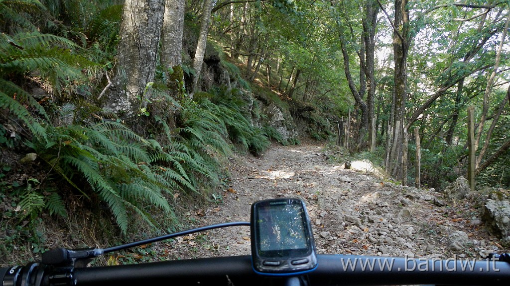 DSCN3959.JPG - Nebrodi - Novara Exploring