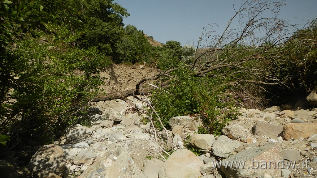 DSCN3964.JPG - Nebrodi - Novara Exploring