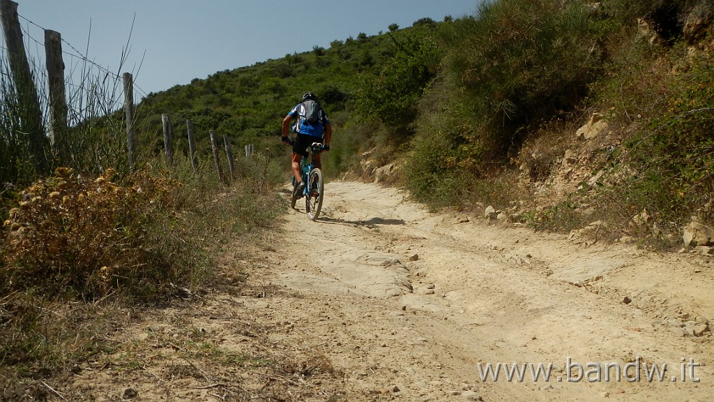 DSCN3966.JPG - Nebrodi - Novara Exploring