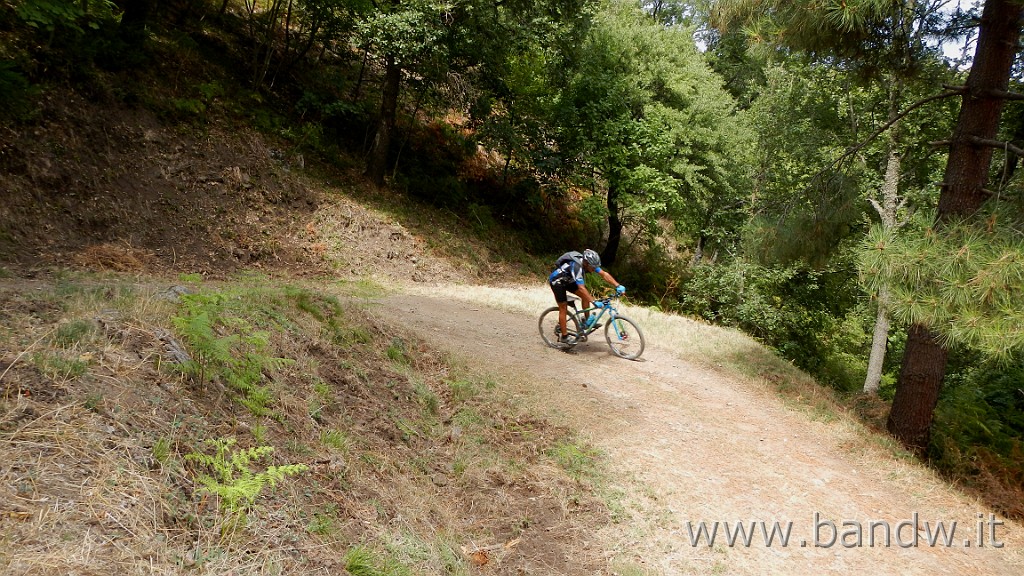 DSCN3976.JPG - Nebrodi - Novara Exploring