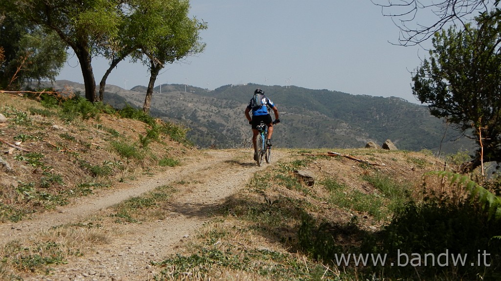 DSCN3977.JPG - Nebrodi - Novara Exploring