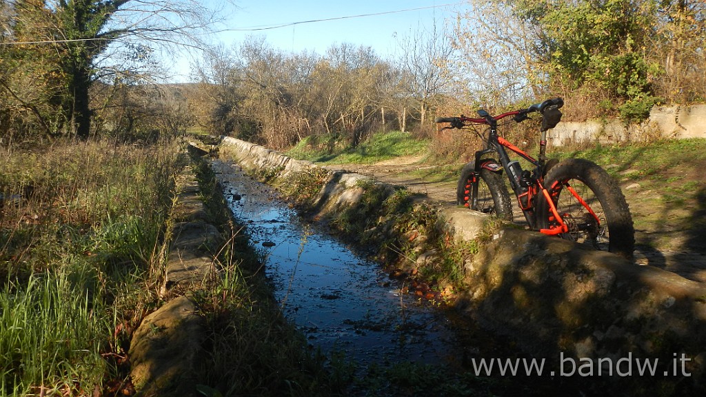 DSCN5666.JPG - Parco Ronza e Floristella