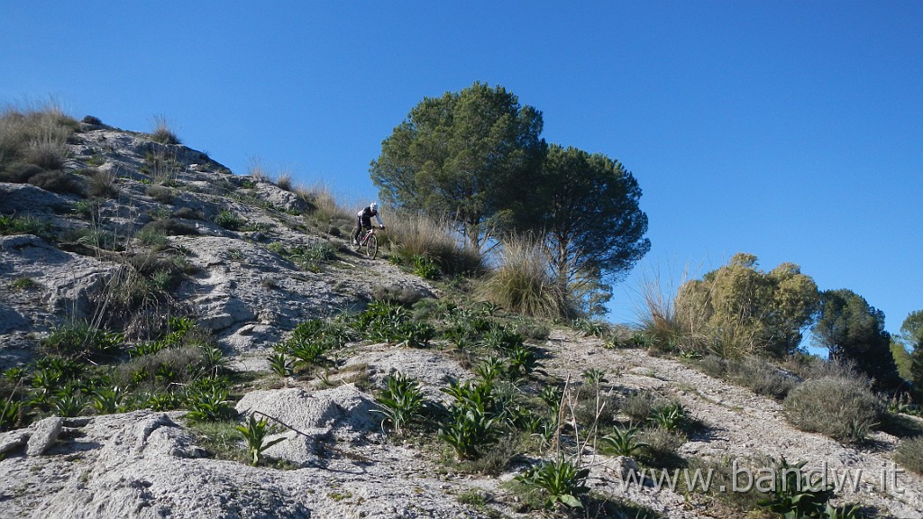 DSCN5718.JPG - Parco Ronza e Floristella