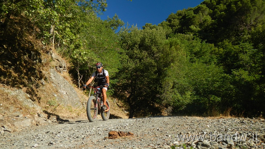 DSCN8442.JPG -                                