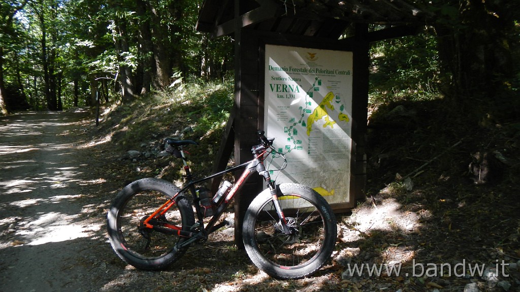 DSCN8446.JPG -                                