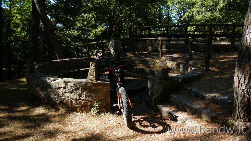 DSCN8447.JPG -                                