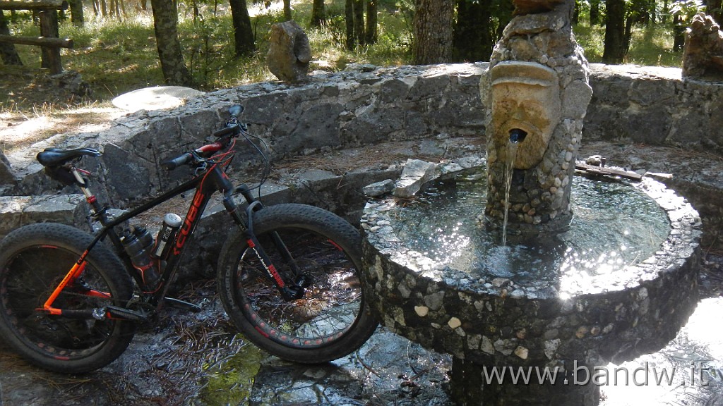 DSCN8449.JPG -                                