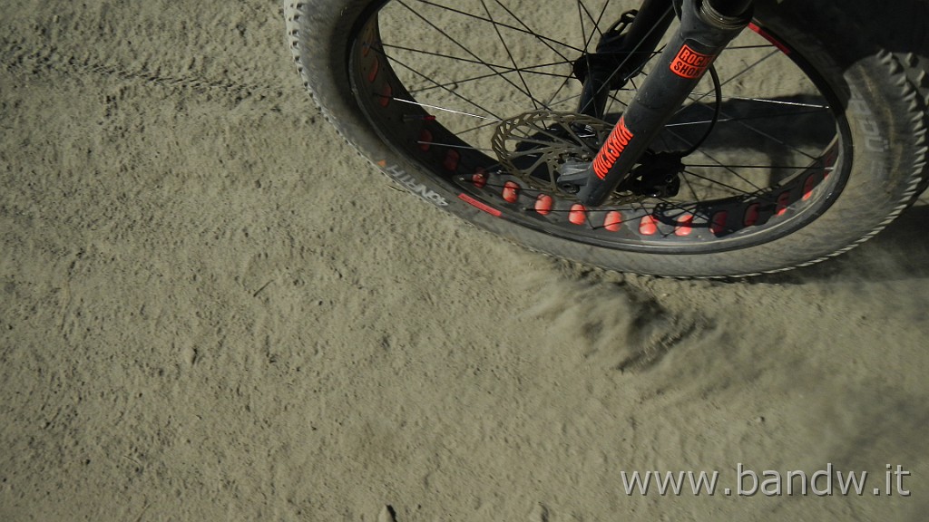 DSCN8459.JPG -                                
