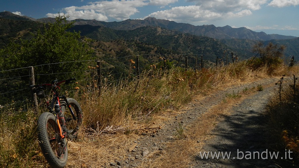 DSCN8464.JPG -                                