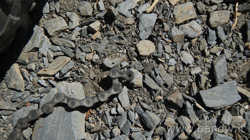 DSCN8469.JPG -                                
