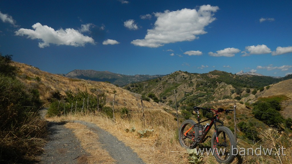 DSCN8474.JPG -                                