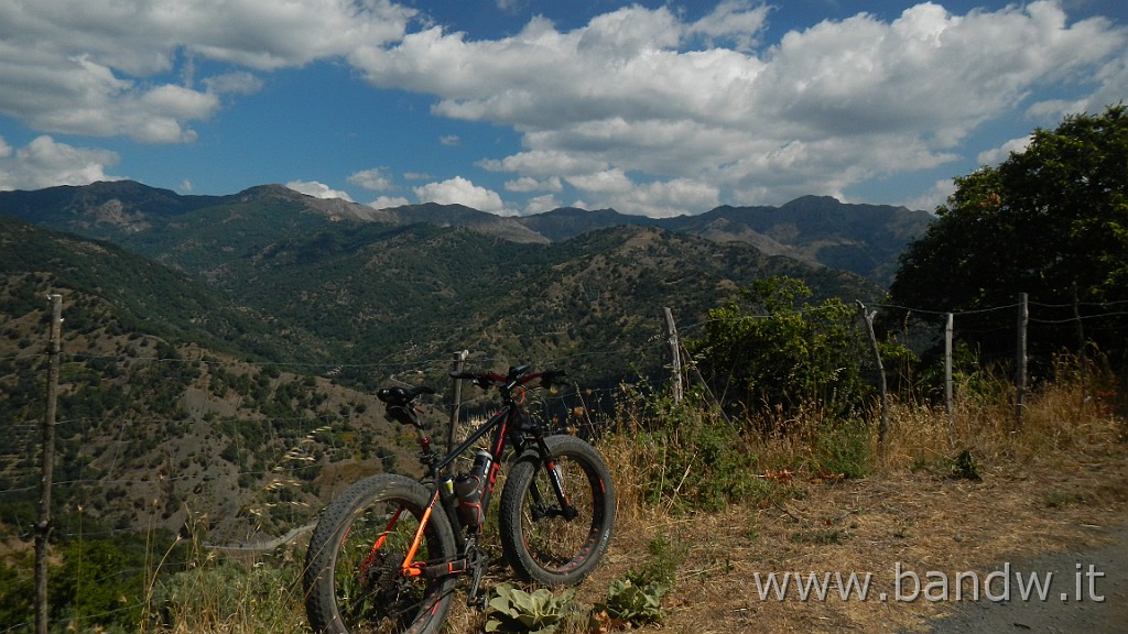 DSCN8475.JPG -                                