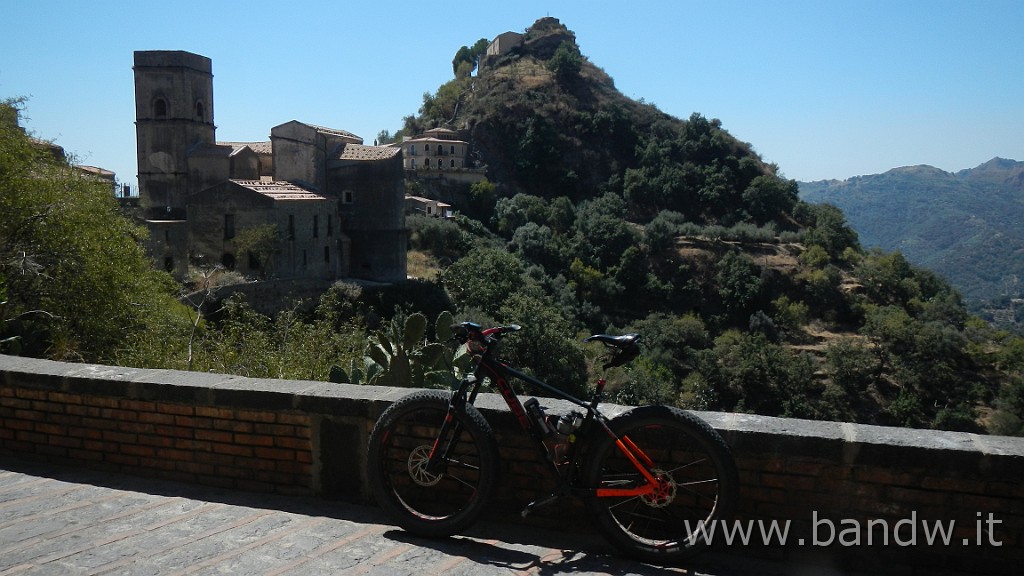DSCN8477.JPG -                                