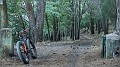 DSCN8440-01