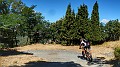 DSCN8454-01