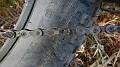 DSCN8472