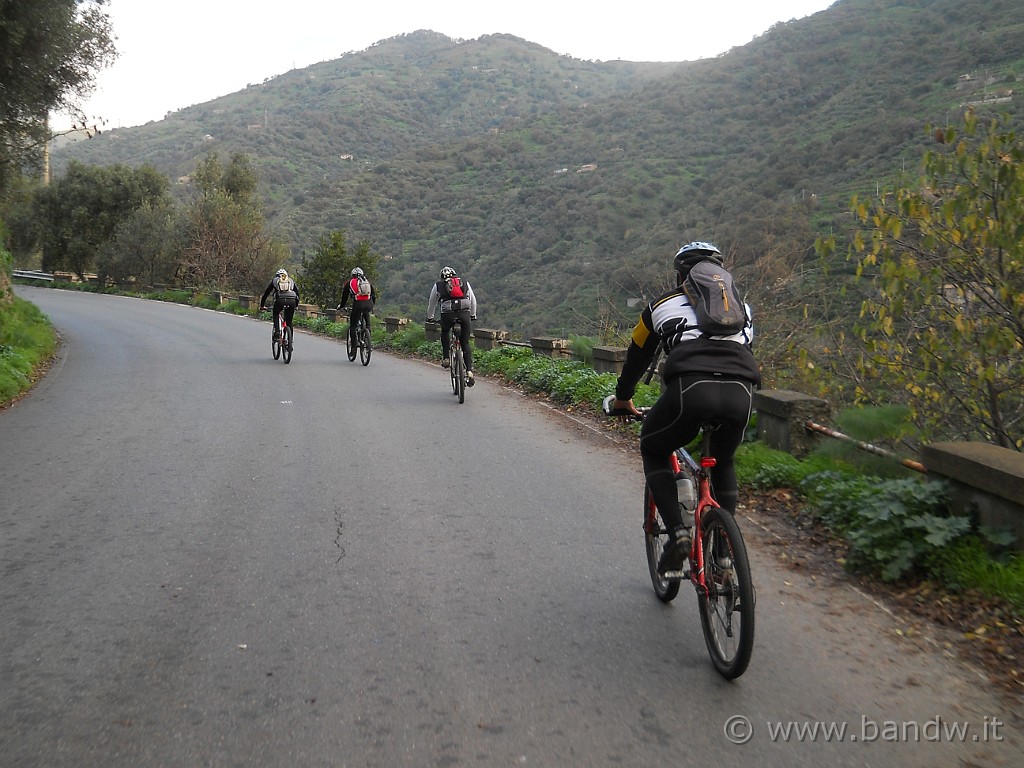 DSCN8701.JPG - Dopo esser partiti da Nizza di Sicilia, dirigiamo verso Fiumedinisi