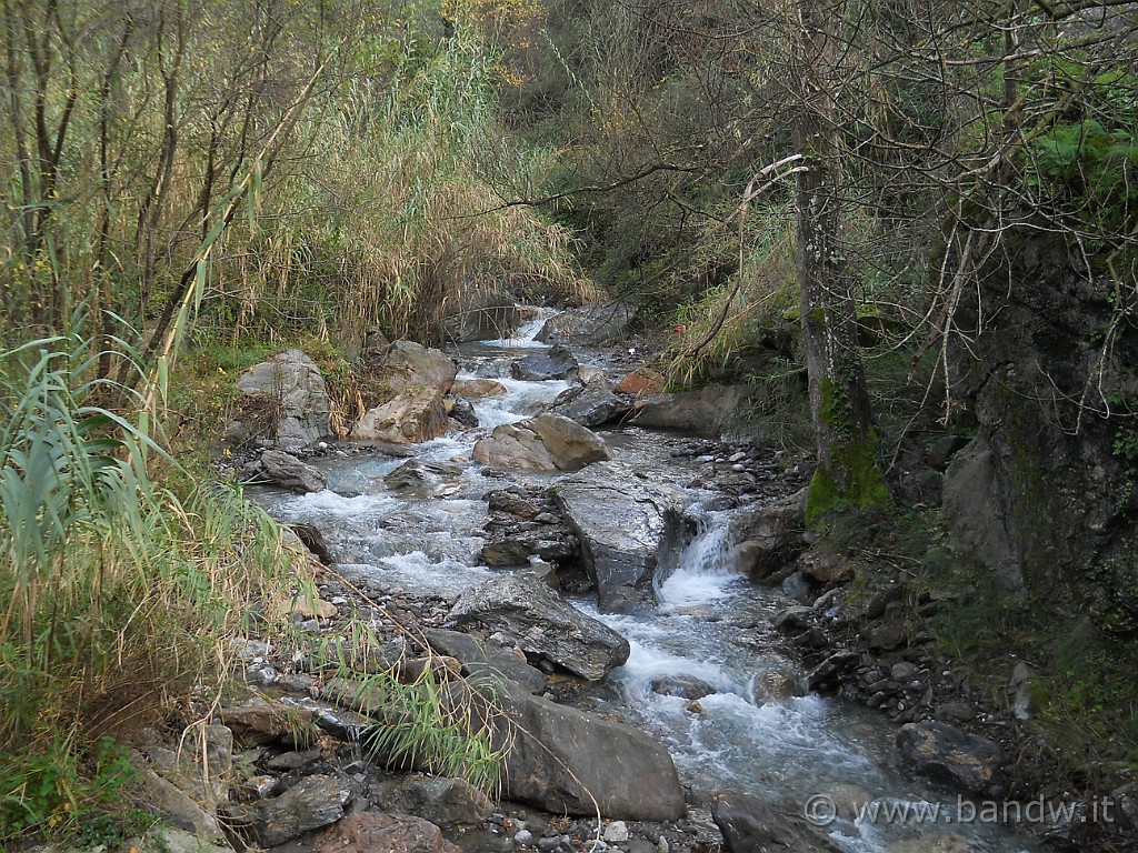 DSCN8702.JPG - Il fiume Vacco