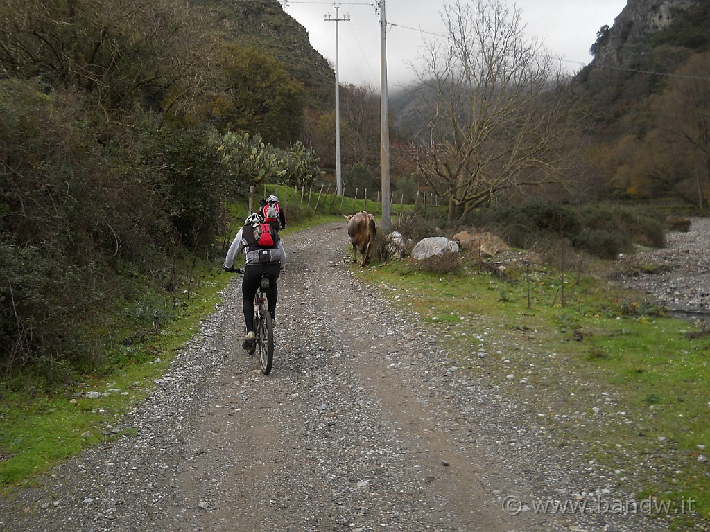 DSCN8704.JPG - Finalmente lasciamo l'asfalto per affondare le nostre ruote sullo sterrato