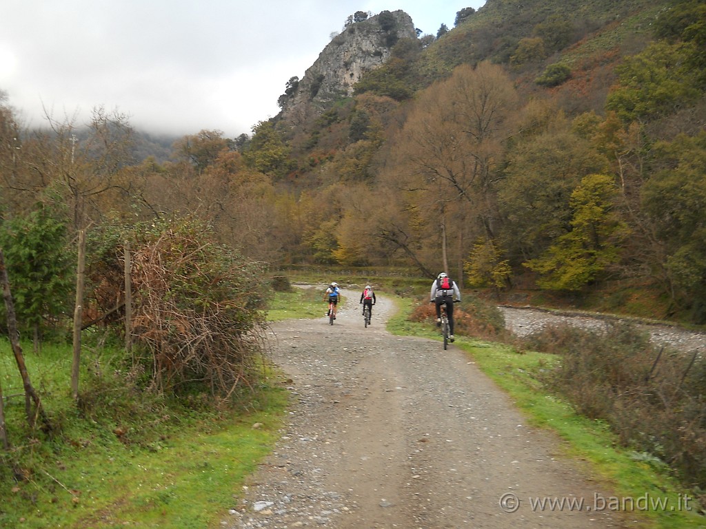 DSCN8705.JPG - Finalmente lasciamo l'asfalto per affondare le nostre ruote sullo sterrato