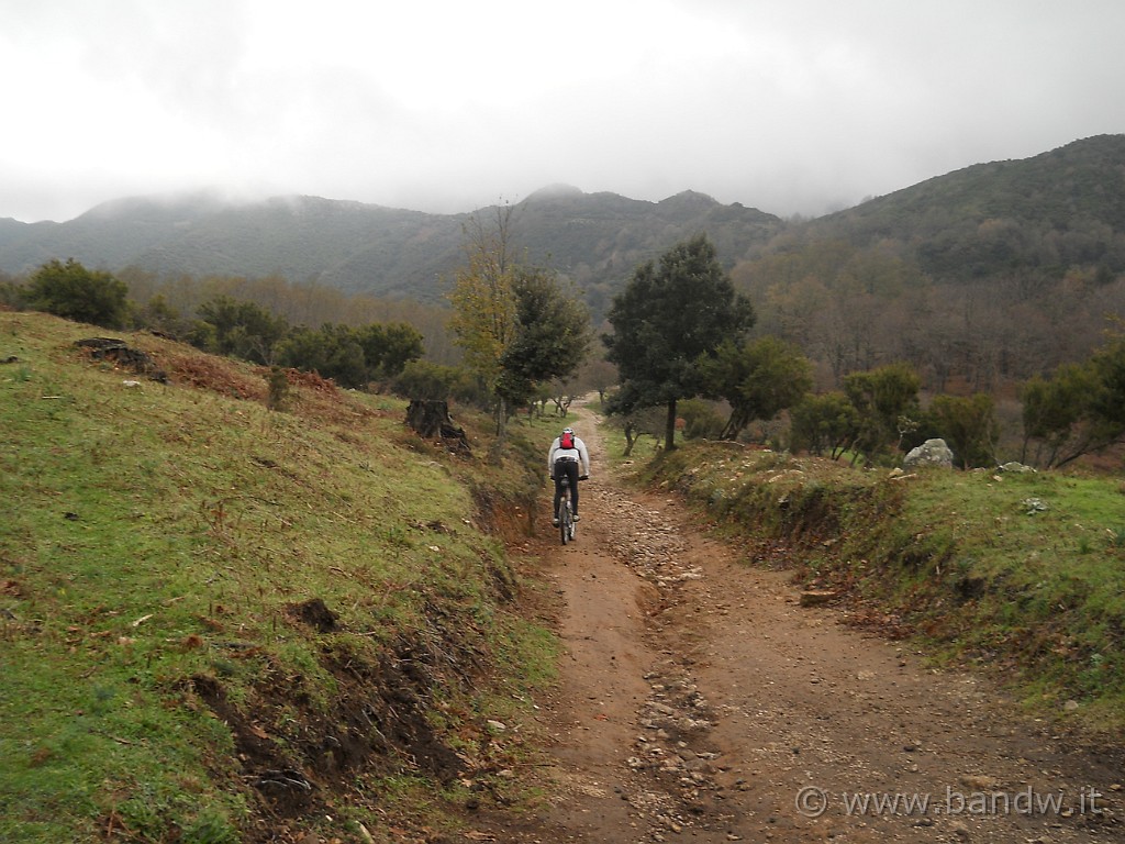 DSCN8713.JPG - Lasciamo Casa degli Alpini e ci immergiamo nella dorsale