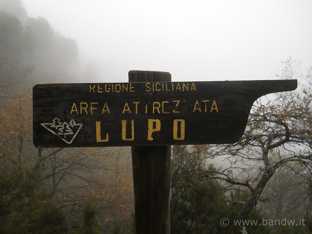 DSCN8743.JPG - Dopo un bel pò di km, dobbiamo lasciare la Dorsale perchè il mal tempo imperversa inesorabilmente e proseguire a pedalare in questo fantastico posto senza potersi gustare i bellissimi panorami che lo stesso offre, non ha senso, quindi dirgiamo verso il luogo indicato in tabella