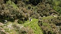DSCN2561