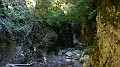 DSCN9318