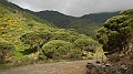 DSCN1054