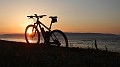 DSCN6392