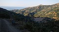 DSCN6394