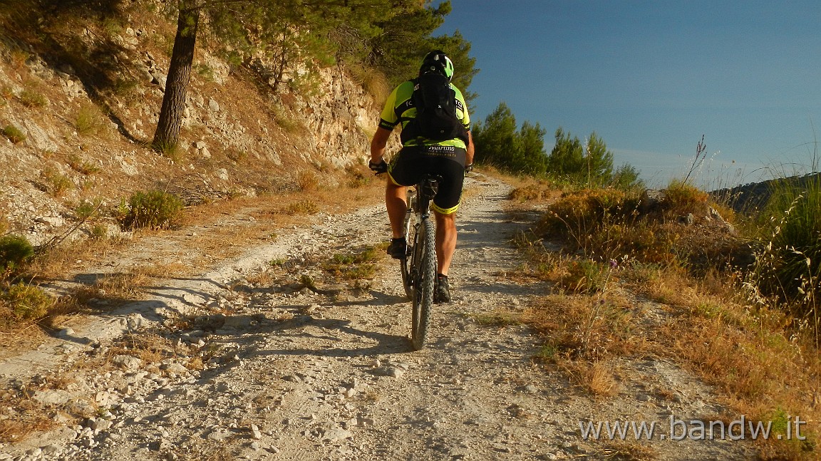 DSCN6491.JPG - Pineta di Chiaramonte Gulfi