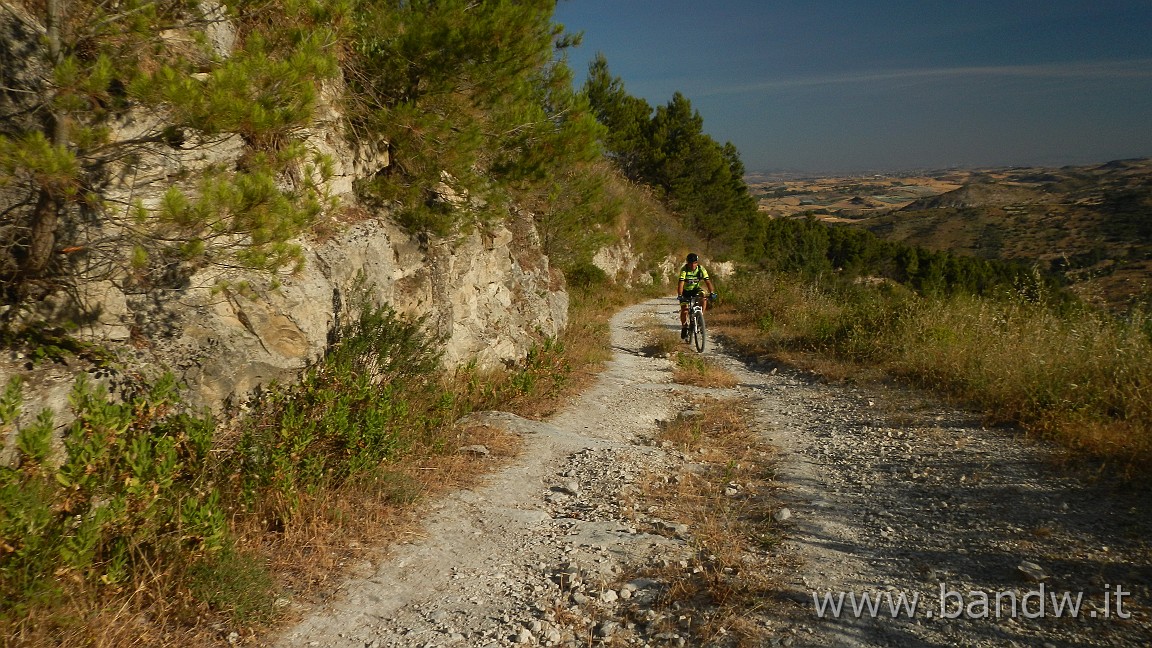 DSCN6494.JPG - Pineta di Chiaramonte Gulfi