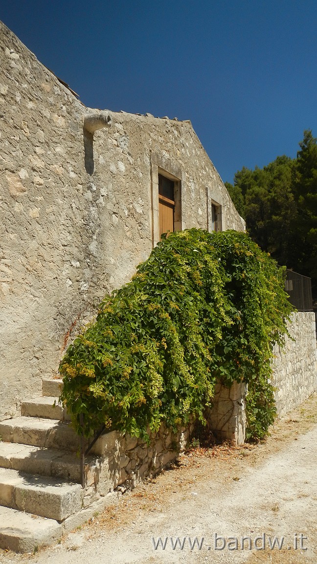 DSCN6533.jpg - Pineta di Chiaramonte Gulfi