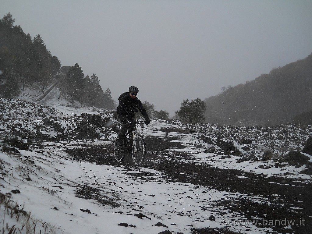 DSCN9080.jpg