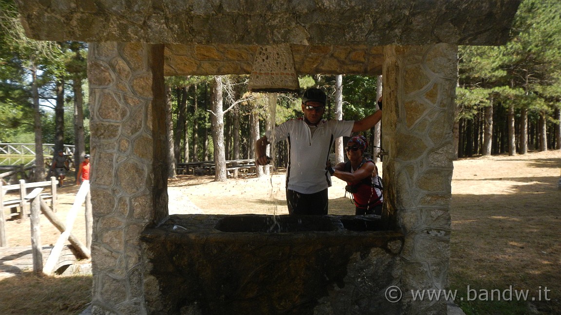 DSCN3644.JPG -                                