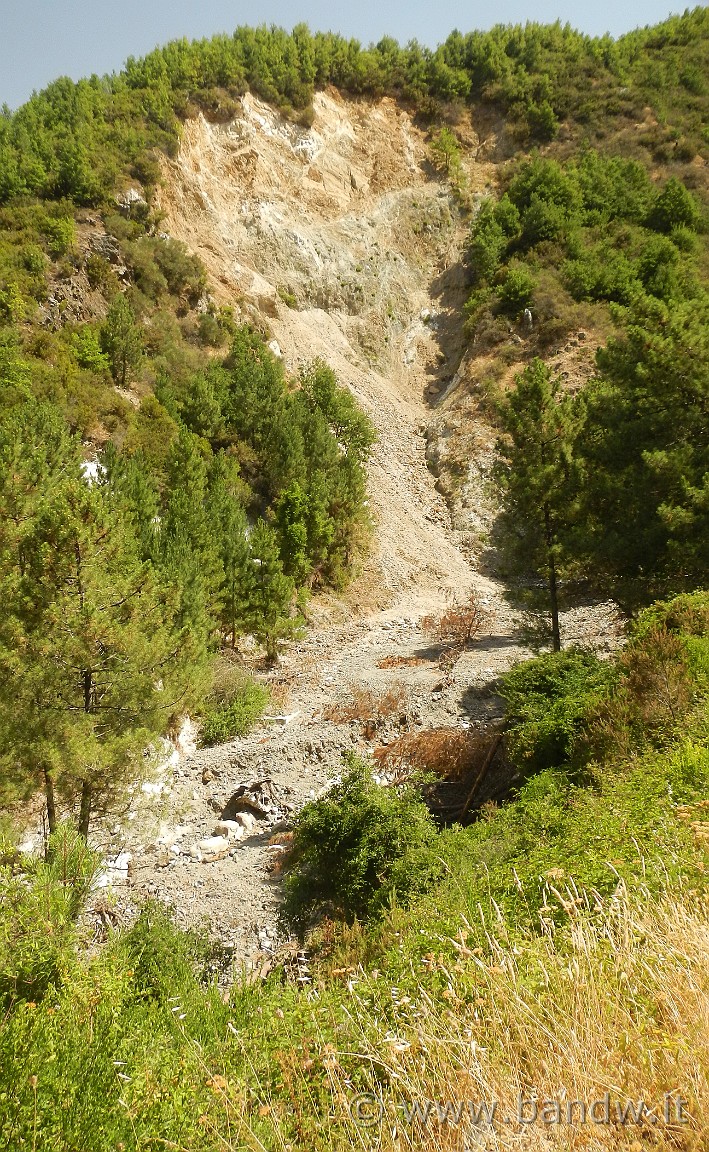 DSCN3672.jpg -                                