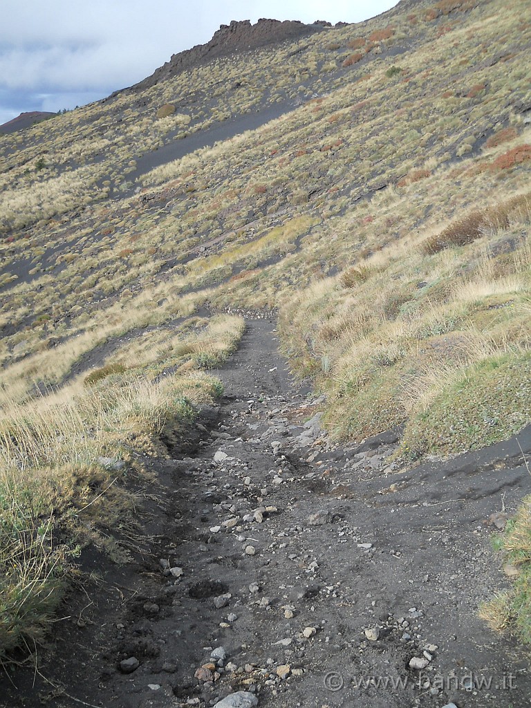 DSCN1724.JPG - Da questo sentiero prima di me ci è passata una Panda 4x4